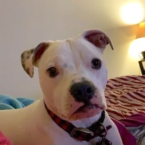 Meet your Posher, Tracey